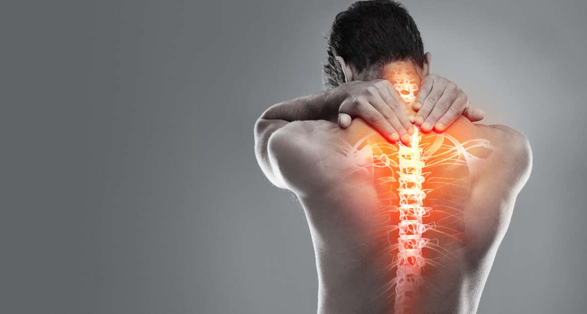 Spinal Cord Injury – Regeneration