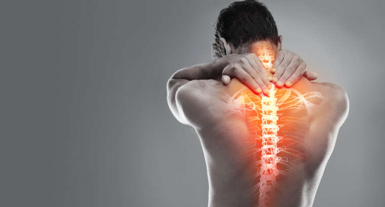 Spinal Cord Injury – Regeneration