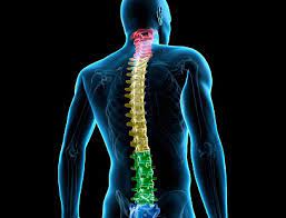 Spine Tumor Treatment From a Neurosurgeon